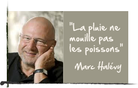 Marc Halvy