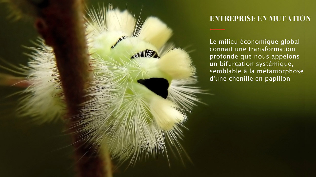 entreprise en mutation